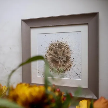 Dandelion * Carlisle (Cumbria)